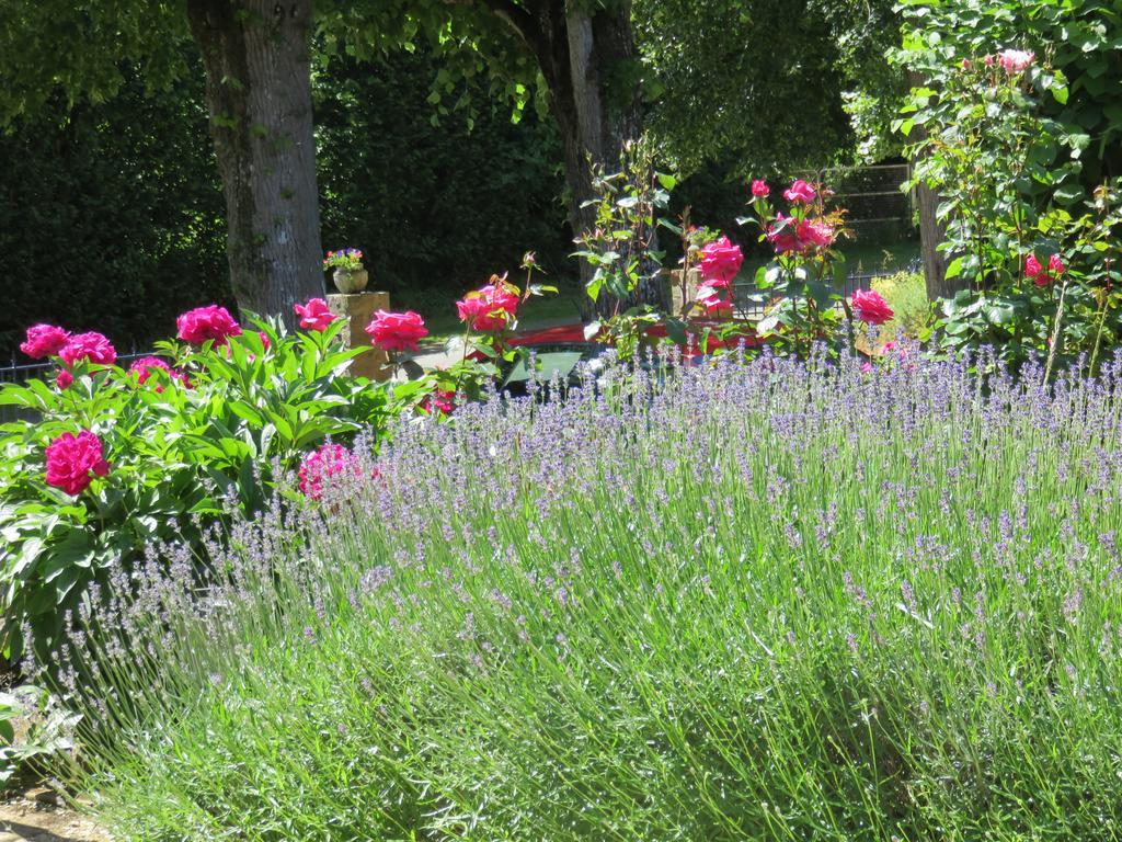Bed and Breakfast Les Quatre Saisons Moitron-sur-Sarthe Zewnętrze zdjęcie
