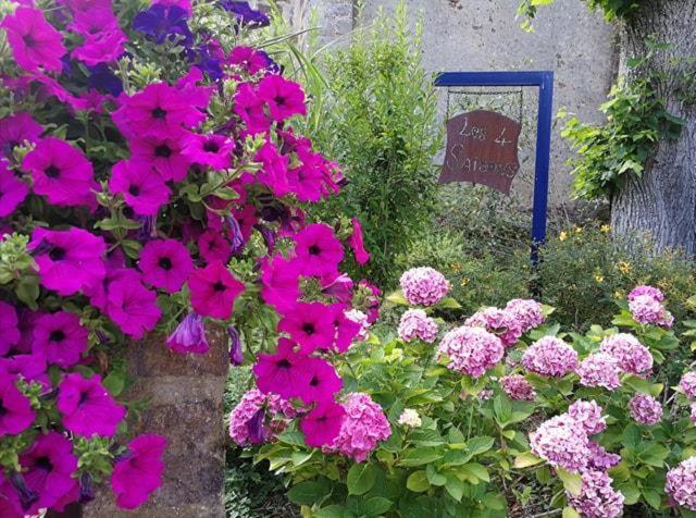 Bed and Breakfast Les Quatre Saisons Moitron-sur-Sarthe Zewnętrze zdjęcie